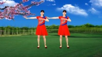 经典老歌广场舞《十送红军》正背面演示