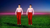 DJ广场舞《谁家的姑娘》32步入门舞蹈 好听