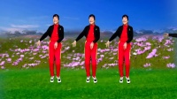 富平百合广场舞《花海相遇》完整版