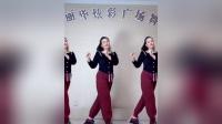 丽华炫彩广场舞《你已带走我的一切》