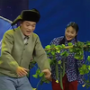 今晚不谈那个下载