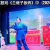 湖南邵东花鼓戏《兰继子扳砖》中集下载
