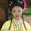黄梅戏《错中缘》全集下载