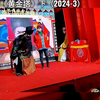 邵阳花鼓戏《黄金塔》下集下载