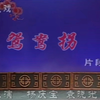 鸳鸯拐下载