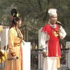 大西厢下载