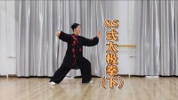 传统杨氏太极拳八十五式全套演练（下）附拳谱下载