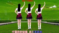 民族风广场舞《中国好姑娘》背面带跳轻松学