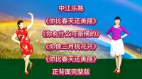 广场舞串烧《你比春天还美丽》《你像三月桃