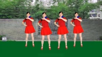 玫香广场舞《下辈子不一定遇见》正背面附教