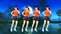 广场舞《明月夜》动感弹跳32步正背面演示