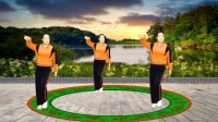 广场舞《成人的世界》简单易学