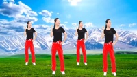 广场舞《今生欠我的你来世能还吗》催泪情歌