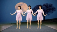 广场舞《望星空》优美抒情32步好听又好看