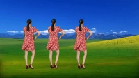经典老歌广场舞《九妹》动感DJ版好听又好看
