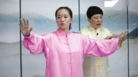 二十四式太极拳 第八式 右揽雀尾下载