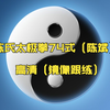 陈氏太极拳74式（陈斌）高清（镜像跟练）去除片头片尾1-10式下载