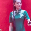 河南坠子《古城会》