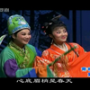 越剧《青衫红袍》全剧下载