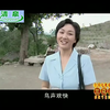 豫剧《情系青要山》全场戏下载