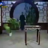 双槐树下载