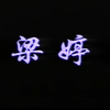 潮剧《梁婷》全剧