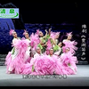 豫剧《贾湖笛声》全场戏