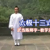 武当太极十三式教学片武当陈师宇下载