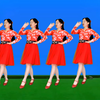 广场舞《真无奈》歌醉舞美附教学