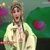 《大秦腔名家名段集锦》21位梅花奖演员联袂演出下载