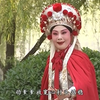 秦腔名家《胡香串个人演唱专辑》（共16段）