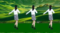 DJ广场舞《一道道坎一道道坡》演示分解优美