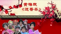 黄梅戏《送香茶》全剧 胜龙黄梅戏剧团演出下载