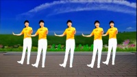 广场舞《想你的时候为你把歌唱》正反面有教