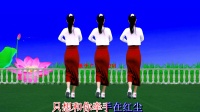 广场舞《只想做你心上的人》背面带跳好学