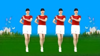 DJ情歌广场舞《陪你渡红尘》旋律动感动听正