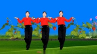 玫香广场舞《爱你是一场美丽的错误》32步正