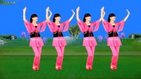 广场舞《十五的月亮》纯音乐版 好听好看附