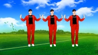 广场舞《辛苦挣钱为养家》句句现实好听好看