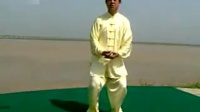 陈氏太极拳精要十八式下载