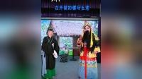 湖南花鼓戏《天子做媒》下载