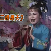 王二姐思夫下载