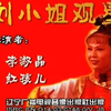 刘金锭观星下载