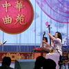 河南坠子《宝玉哭黛玉》返场（小黑驴 王二姐思夫）片段下载
