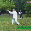 林炳尧先生杨氏太极拳下载