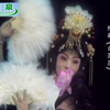豫剧《白莲花》全集下载