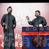 对坐数来宝下载