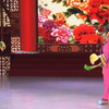 探妹儿下载