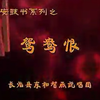 上党鼓书《鸳鸯恨》全集