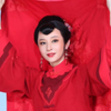 黄梅戏《一代义伶邢绣娘》超清完整版下载